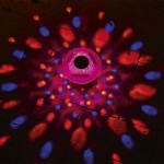 Lumină solară flotantă pentru piscină Bestway Ø 18 cm (1 Unități)