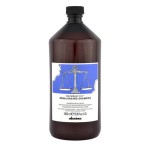 Șampon Purifiant Davines Regulador 1 L