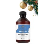 Șampon Purifiant Davines Regulador 1 L