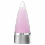 Parfum Bărbați Rochas EDP 100 ml Rochas Intense