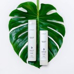 Șampon Hidratant L'ANZA Healing Moisture 300 ml Păr uscat