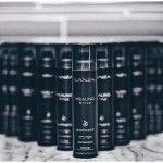 Fixativ L'ANZA Healing Style