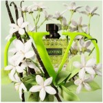 Parfum Femei Valentino Donna Born in Roma Green Stravaganza EDP
