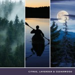 Lumânare Parfumată Yankee Candle 1629968E