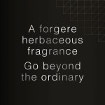 Parfum Bărbați David Beckham Beyond