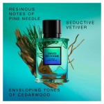 Parfum Bărbați David Beckham True Instinct EDP 75 ml