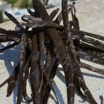 Parfum Femei D&G Devotion EDP 50 ml