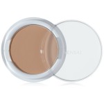 Fond de Ten Fluid Kanebo soft beige Spf 15