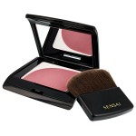 Fard Obraz Kanebo Portocaliu