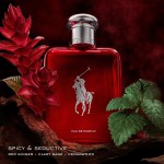 Parfum Bărbați Ralph Lauren POLO RED EDP 125 ml