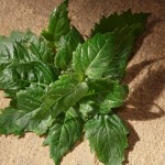 Parfum Bărbați D&G Devotion EDP