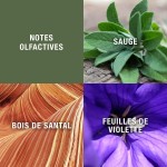 Parfum Bărbați Elisabeth Arden Grey Flannel EDT 240 ml