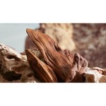 Parfum Bărbați D&G Dolce&Gabbana EDP 100 ml