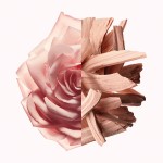 Parfum Femei Givenchy IRRESISTIBLE NUDE VELVET EDP