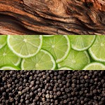 Parfum Femei Lacoste Essential EDT