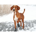 Cizme Trixie 19463 Negru M