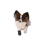 Cizme Trixie Negru S