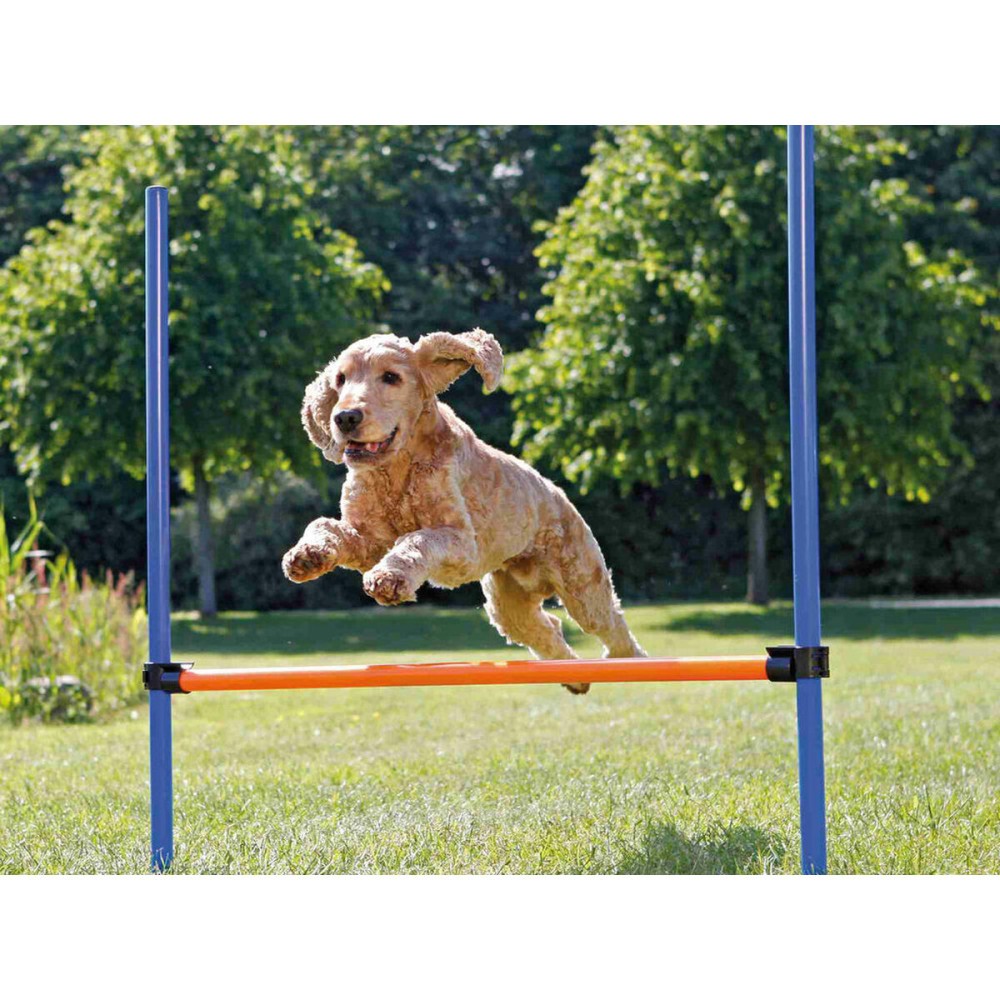 Jucărie de antrenament Trixie