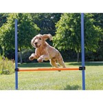 Jucărie de antrenament Trixie