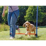 Jucărie de antrenament Trixie