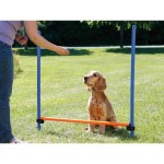 Jucărie de antrenament Trixie