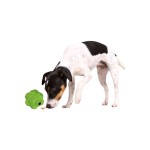 Jucărie pentru câini Trixie Cauciuc Ø 9 cm Snacks