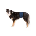 Protector pentru Incontinență Trixie 55-65 cm Tată Abdomen