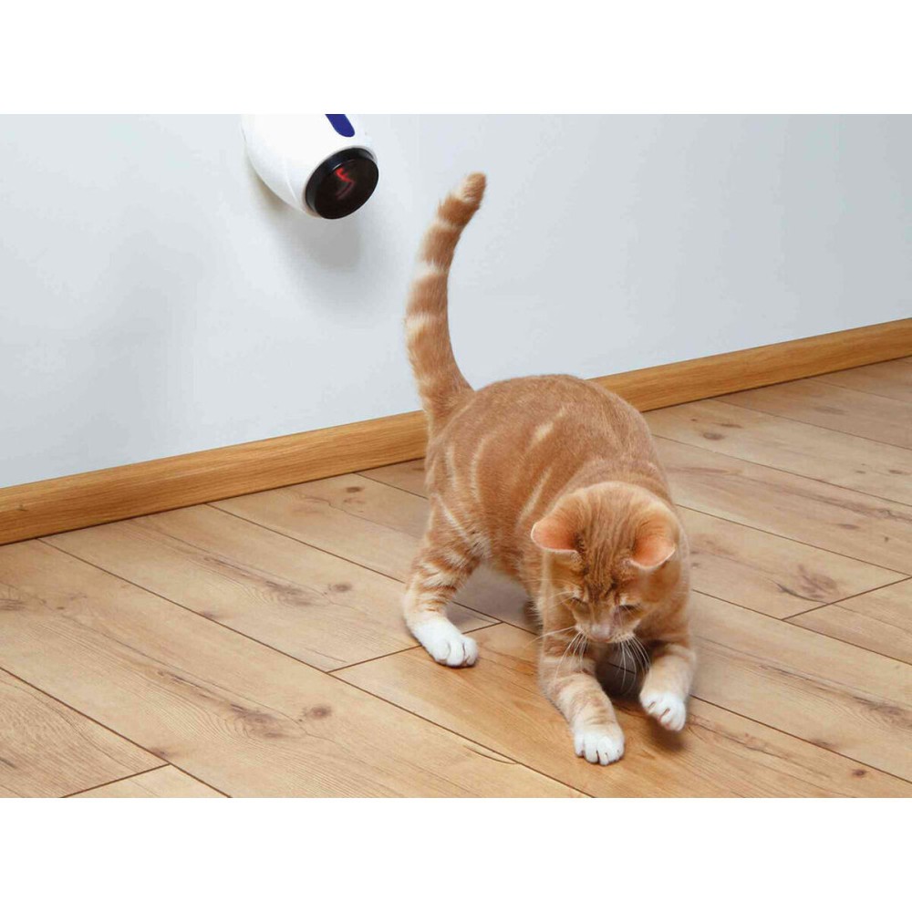 Pointer Laser Trixie