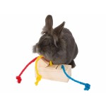 Distribuitor de mâncare 2 în 1 jucărie pentru animale de companie Trixie 16 × 6 × 7 CM