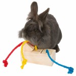 Distribuitor de mâncare 2 în 1 jucărie pentru animale de companie Trixie 16 × 6 × 7 CM