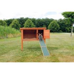 Rampă portabilă Trixie 20 × 50 CM