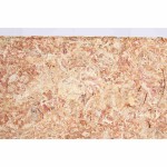 Substrat Trixie Mușchi