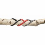 Lesă pentru câine Trixie New Cavo Roșu L/XL