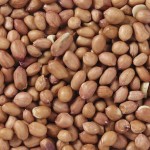 Hrană pentru păsări Deli Nature Premium 1 kg