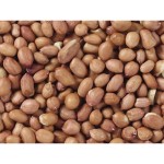 Hrană pentru păsări Deli Nature Premium 3 Kg