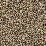 Hrană pentru păsări Deli Nature Premium