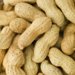 Hrană pentru păsări Deli Nature Premium 1,6 kg