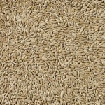 Hrană pentru păsări Deli Nature Premium 5 kg