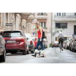 Ham pentru câini Julius K9 IDC Cowboy 2 Baby 2 (XS/S)