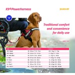 Ham pentru câini Julius K9 Power Albastru XL 3