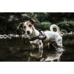 Ham căptușit pentru câine JuliusK9