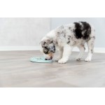 Castron de hrană pentru animale de companie Trixie Junior Licking Ø 15 cm Verde Mentă