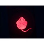 Pointer Laser Trixie