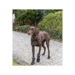 Mers de protecție pentru picioare Trixie Negru M/L