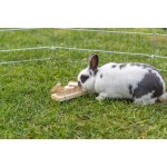 Distribuitor de mâncare 2 în 1 jucărie pentru animale de companie Trixie Lemn 15 × 4,5 × 6 CM