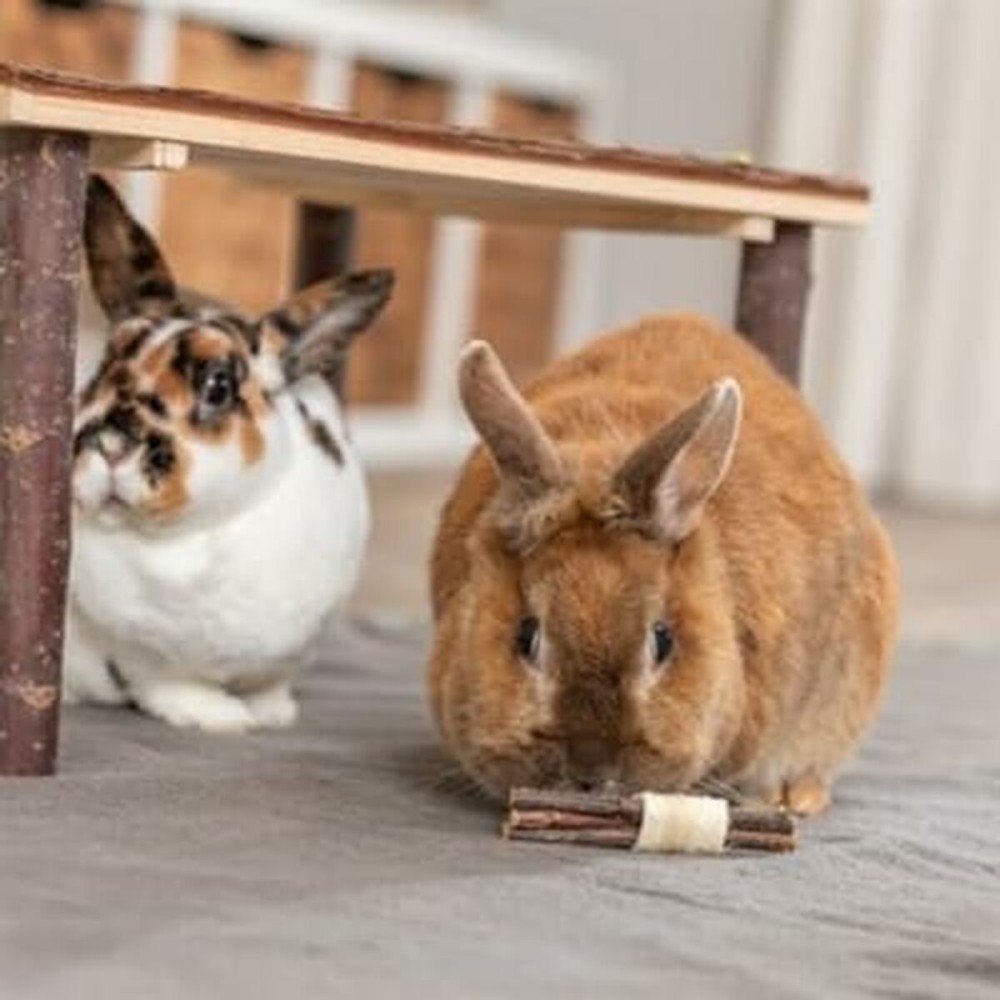 Jucărie pentru Rozătoare Trixie Lemn Alge marine 10 × 3 CM (2 Unități)