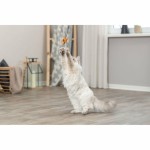 Jucărie pentru pisici Trixie Pește 46 cm