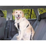 Ham pentru câini Trixie Negru L