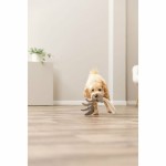 Jucărie din pluș pentru câini Trixie