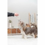 Jucărie din pluș pentru câini Trixie